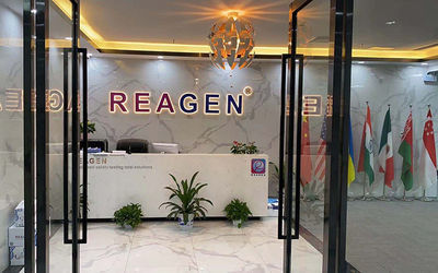 中国 REAGEN LLC 企業収益 