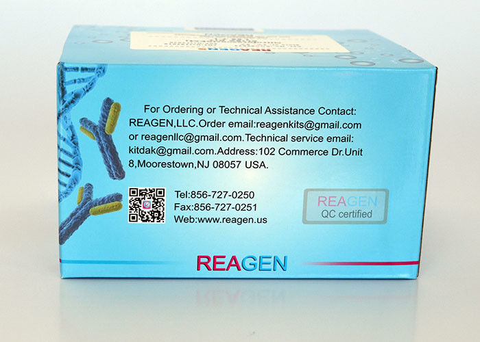 Strong Sensitivity Dexamethasone ELISA Test Kit 2 - 8°C Storage For Research